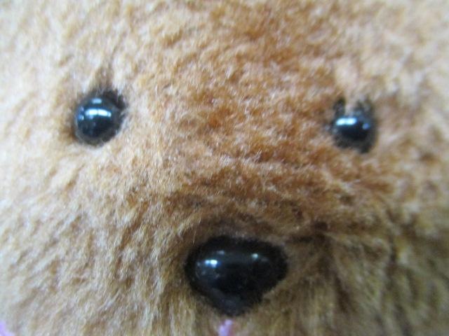 限定商品入荷しました