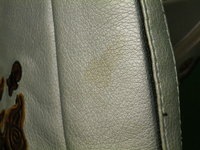 IMGP5537.JPGのサムネール画像