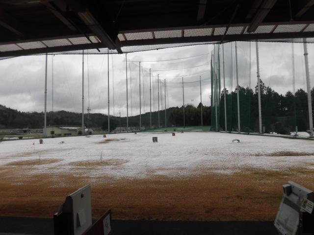 雪やこんこ♪