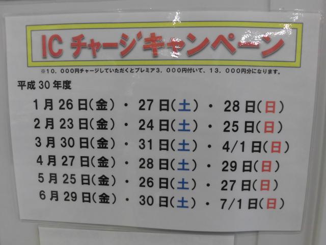 今週末もやります！！