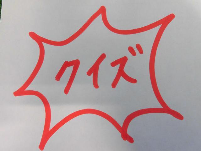ブログデー♪