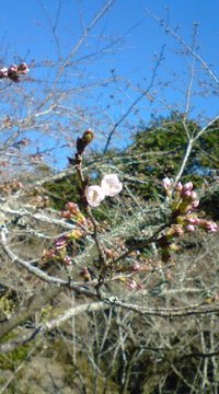 20110326150133.jpg