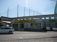 IMG_5494.JPG