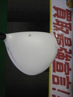 IMG_5955.JPG