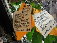 IMG_6732.JPG