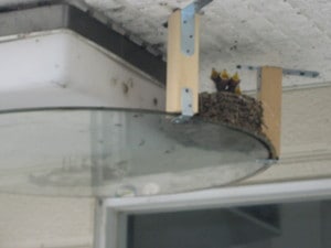 IMG_7320.JPG