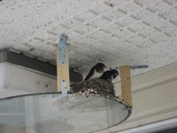 IMG_7409.JPG
