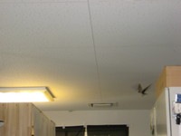 IMG_7446.JPG