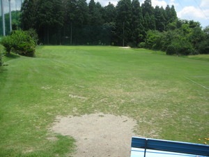 IMG_7774.JPG