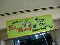 IMG_1036.JPG