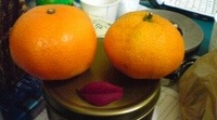 20111123175737.jpg