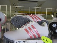 IMG_2583.JPG