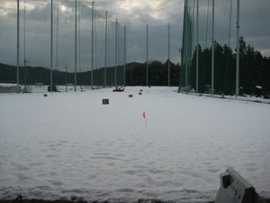 IMG_2913.JPG