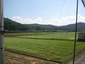 IMG_1625.JPG