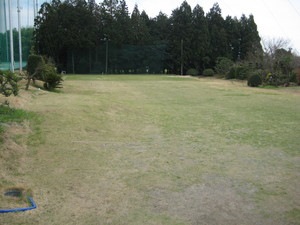 IMG_2169.JPG