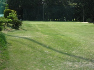 IMG_2697.JPG