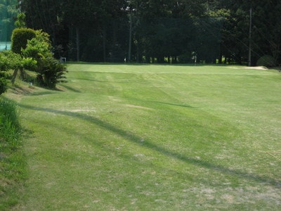 IMG_2697.JPG