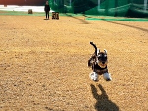 IMG_3111.JPG