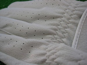 IMG_3885.JPG