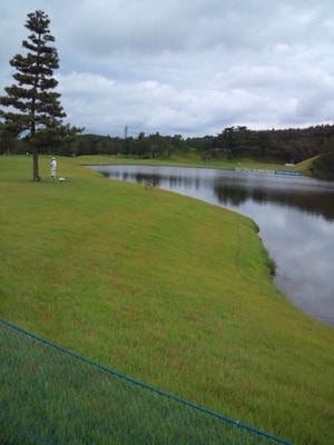 DSC_tarao3.jpg