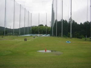 IMG_0234.JPG