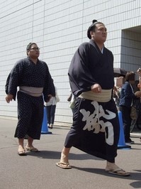 勢関.jpg