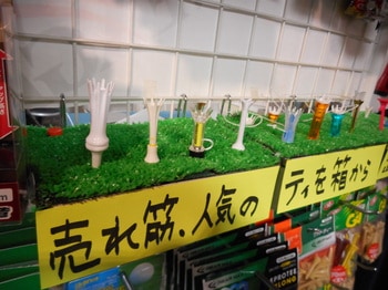 DSCN2595.JPG
