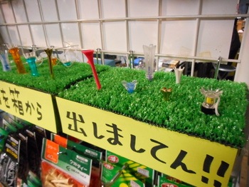 DSCN2596.JPG