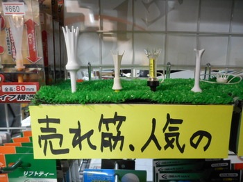 DSCN2917.JPG