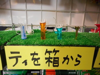 DSCN2918.JPG