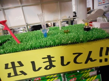 DSCN2919.JPG