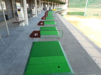 DSCN3380.JPG