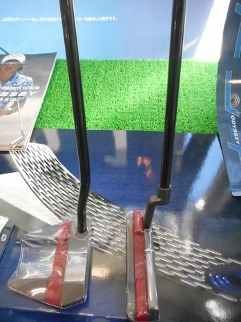 DSCN5510.JPG