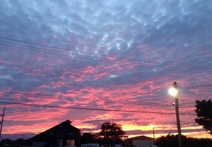 夕焼け.JPG
