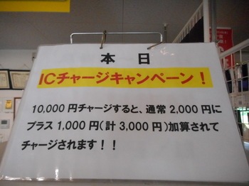 DSCN6973.JPG