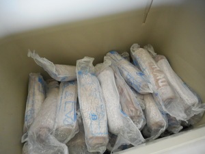 DSCN7165.JPG