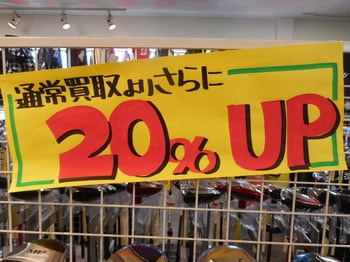 DSCN7510.JPG
