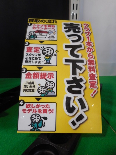 DSCN6741.JPG