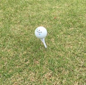 1-1-thumb-350x347-866710.jpg