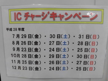 CIMG8517.JPG