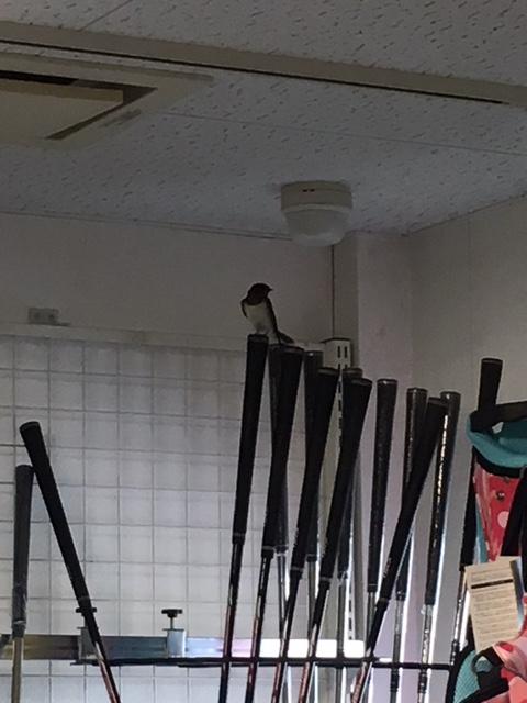 今後の予定は？