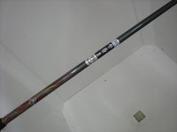 DSCN7300.JPG