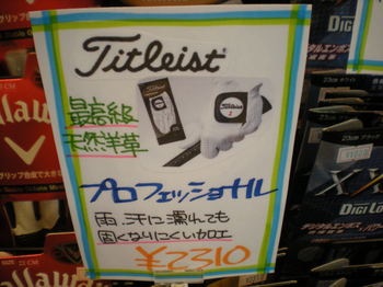 DSCN8277.JPG