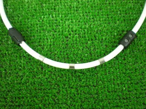DSCN4666.JPG