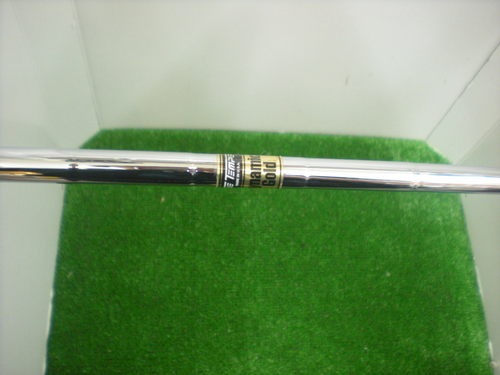 DSCN0202.JPG