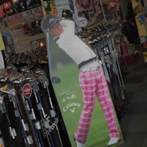 IMGP2212.JPGのサムネール画像