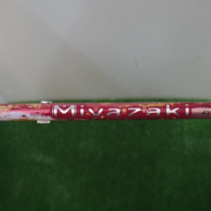 IMGP8509.JPG
