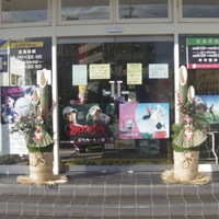IMGP5127.JPG