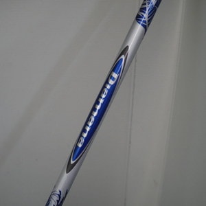IMGP9080.JPG