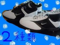 画像 017.jpg